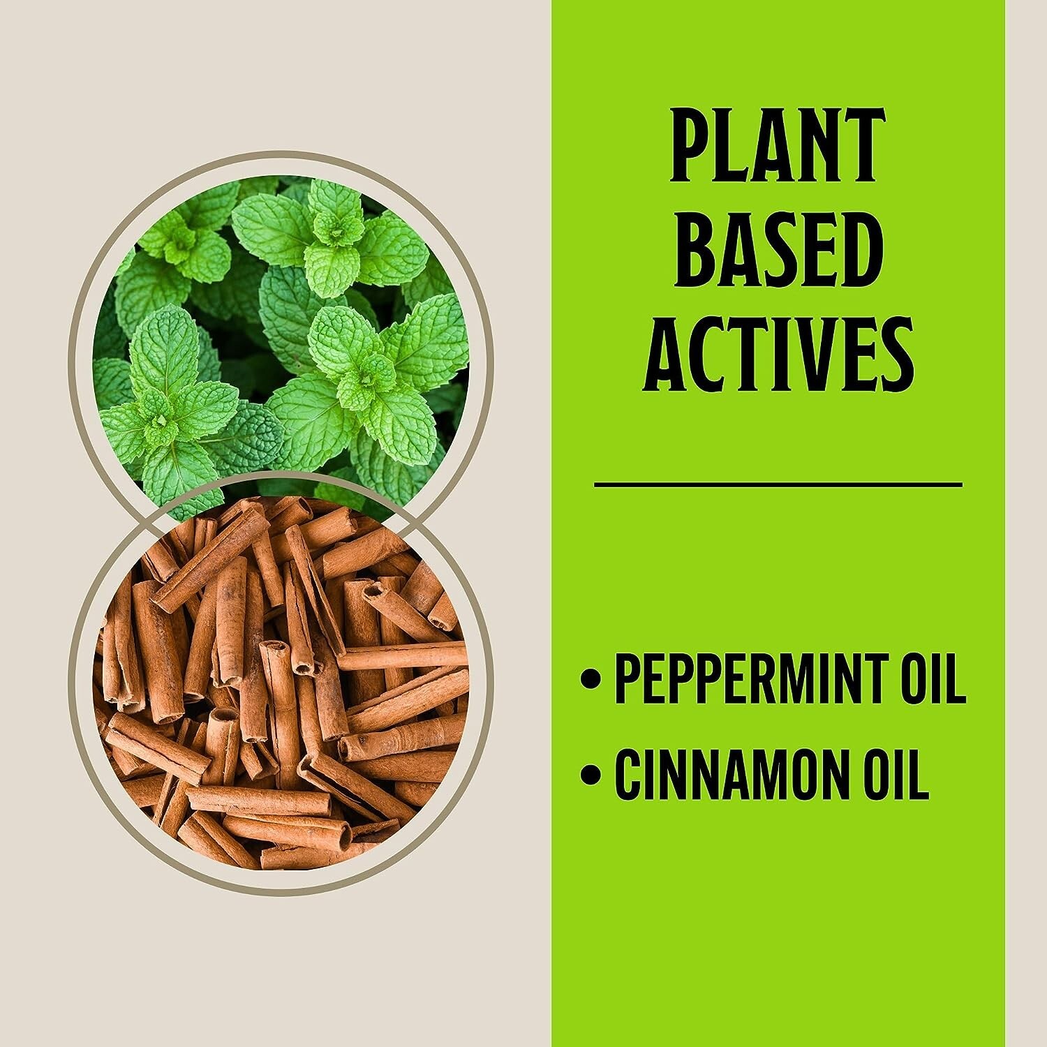 GRANDPA GUS'S Mouse Rodent Repellent, Peppermint & Cinnamon Oil Formula, 1 gal.