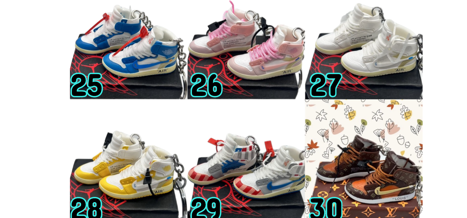 PART 1- Jordan SB Dunk Key Chains Collectible Mini Shoe Keyring With Display Box