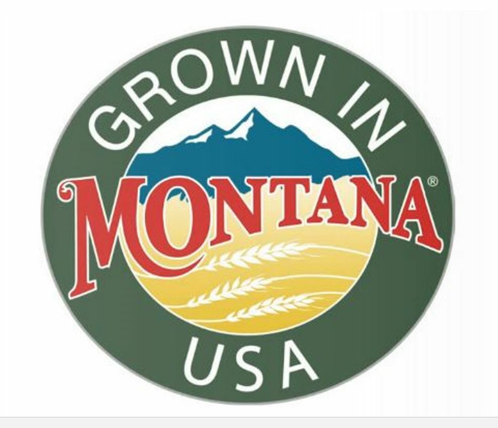 Datura Inoxia Flowers 25 Dried Moonflower 2025 Floral Craft Organic Thornapple