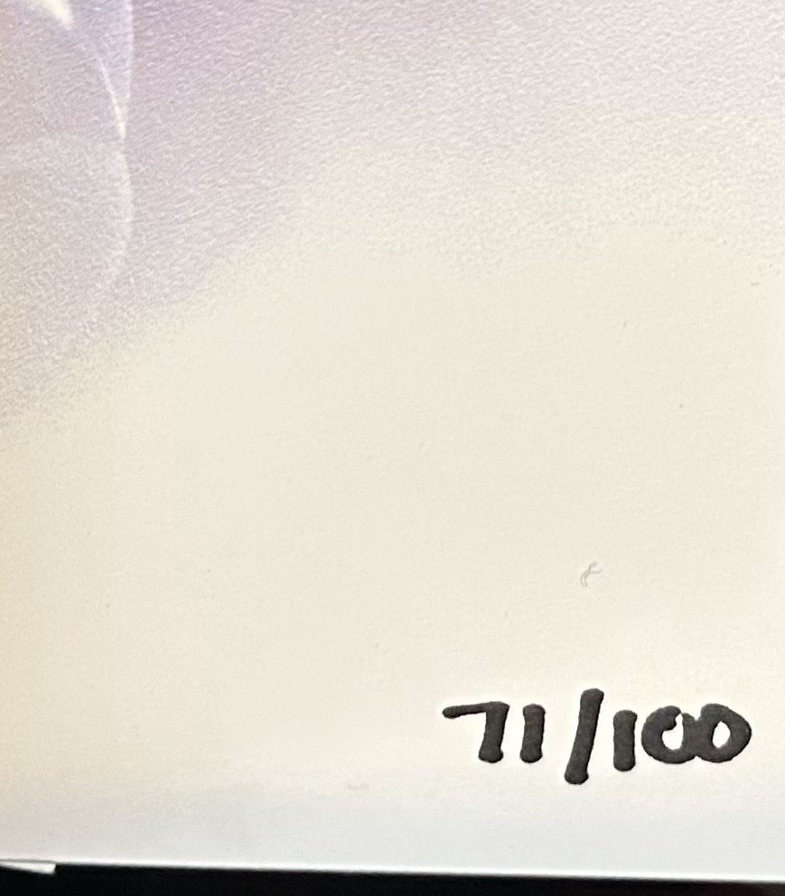 OFFICIAL KATY PERRY MADISON SQUARE GARDEN NY 7/11 LIFETIMES EVENT POSTER 71/100