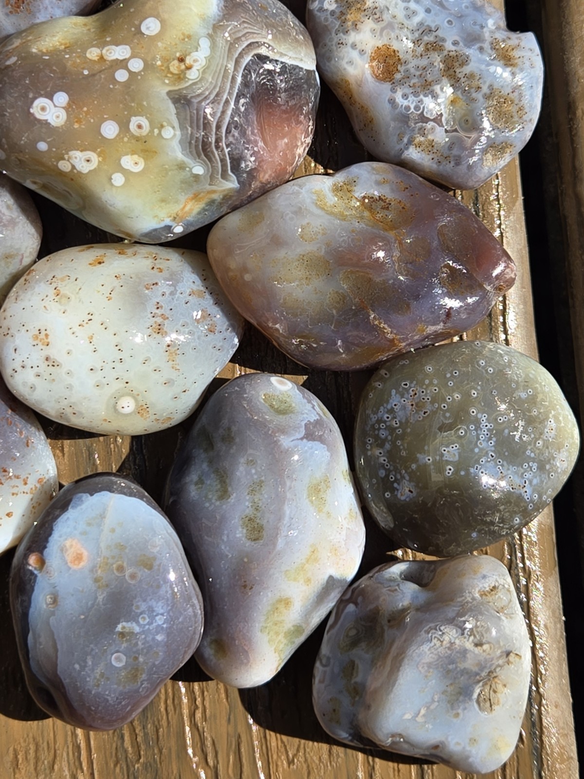 Botswana Agate Selects - DOTS AND SPOTS - Rough, Natural, Not Polished A+ Grade