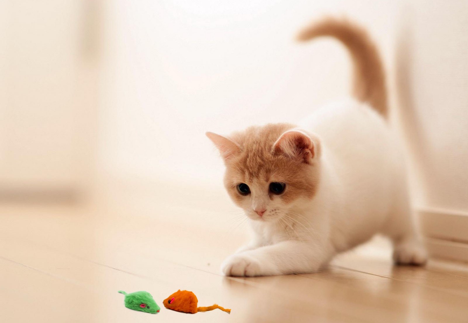 20 Rainbow Mice with Catnip & Rattle Sound Made of Real Rabbit Fur Cat Toy Mouse