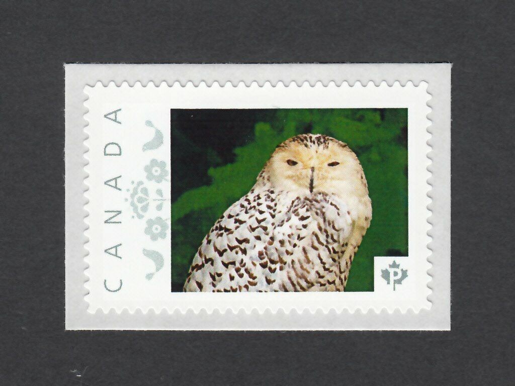OWL BIRD OF PREY * Picture Postage stamp MNH Canada 2014 [p6-an9/1]