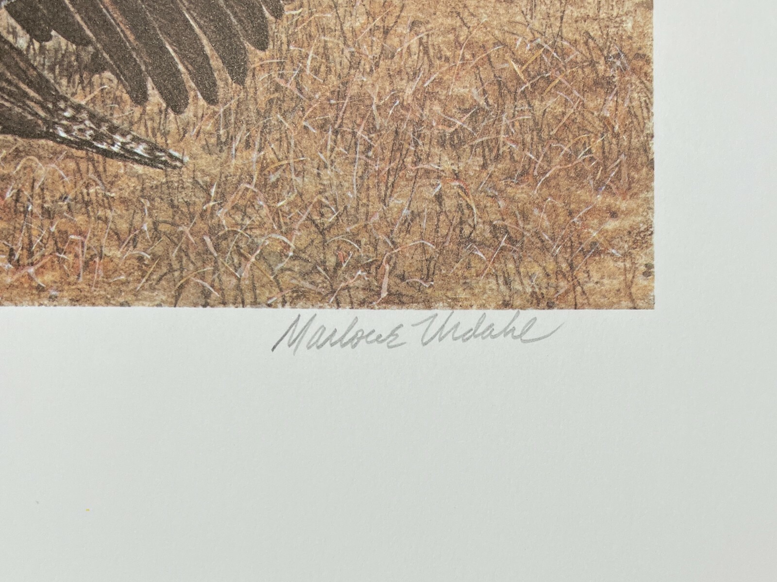 1978 MONTANA - State Duck & Bird Print - Sage Grouse - ARTIST SIGNED STAMP