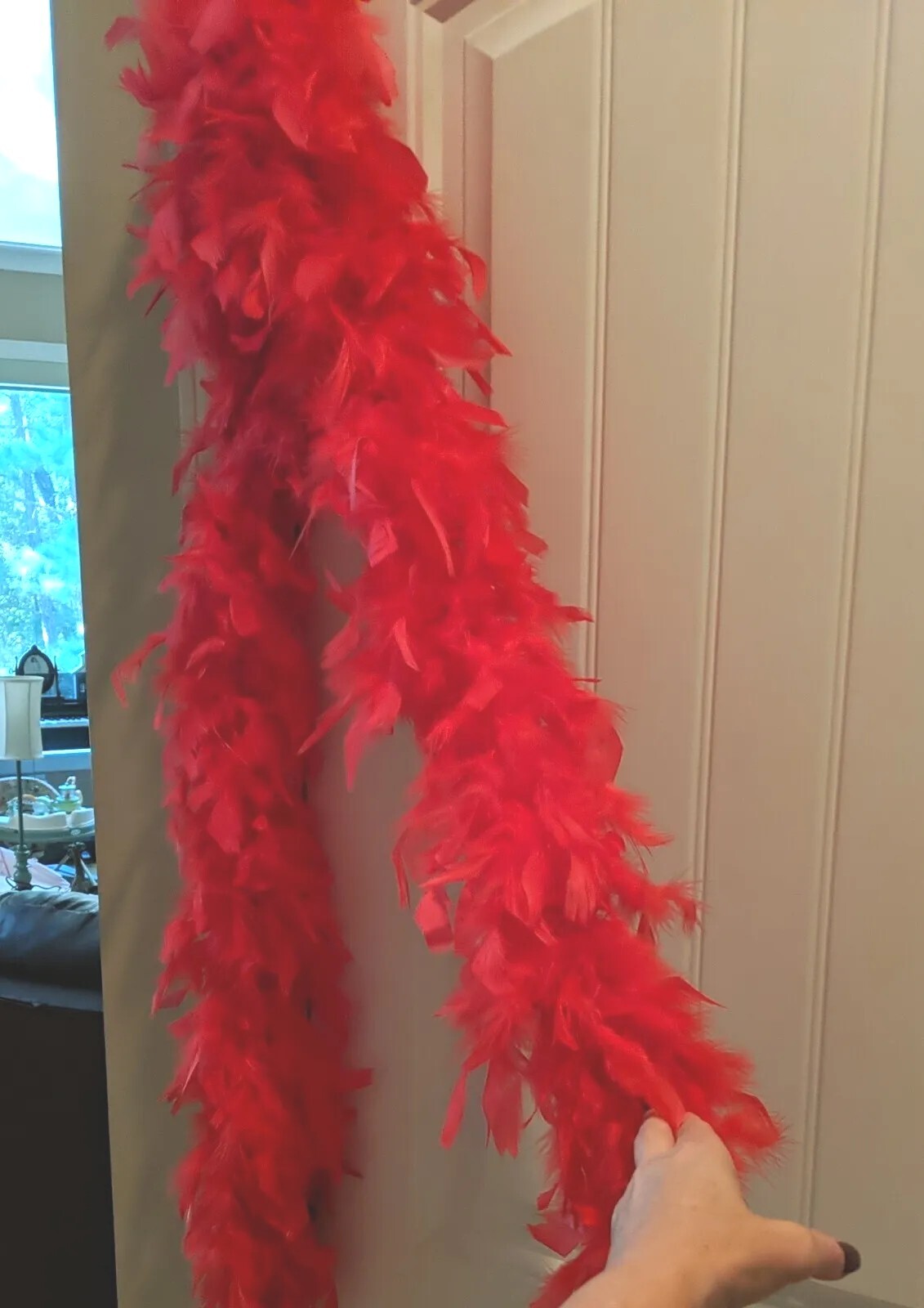 Red Feathers Boa String 6 Feet Long Accent Dance Piece Costume Sexy
