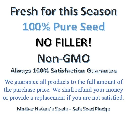 Landscaper's Pack Cornflower Bachelor Button DWARF MIX Non-GMO 1500 Seeds!