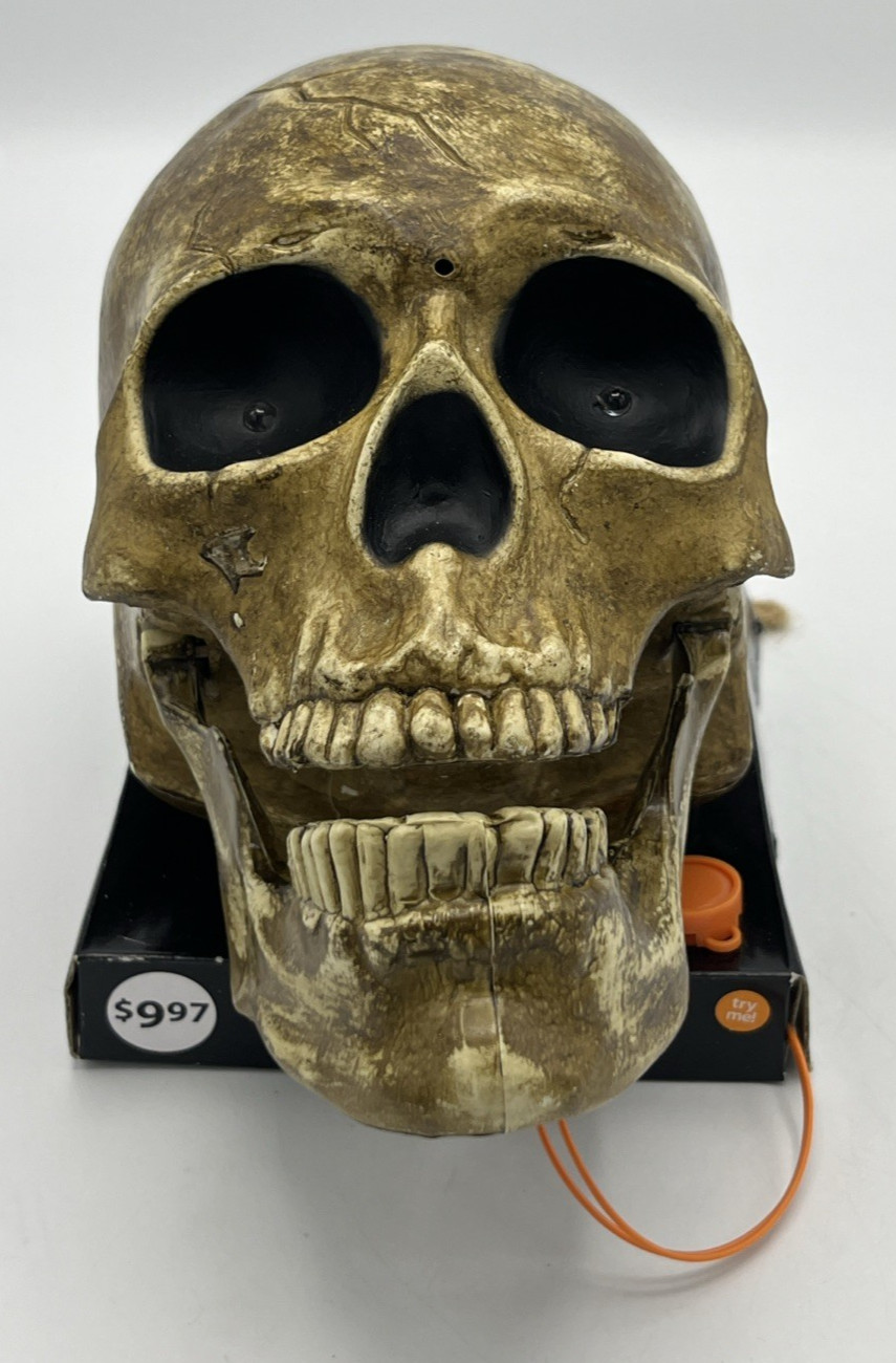 Skull Talking Mechanical Tested Works
