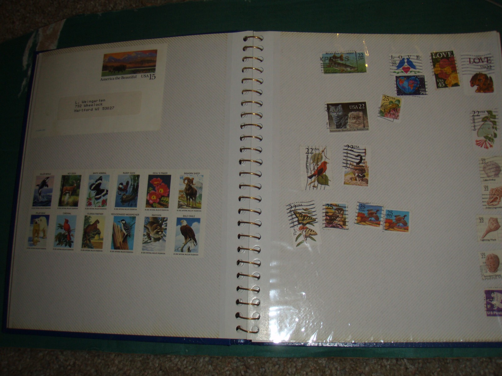 usa stamps collections lots-19th century forward on old album pages