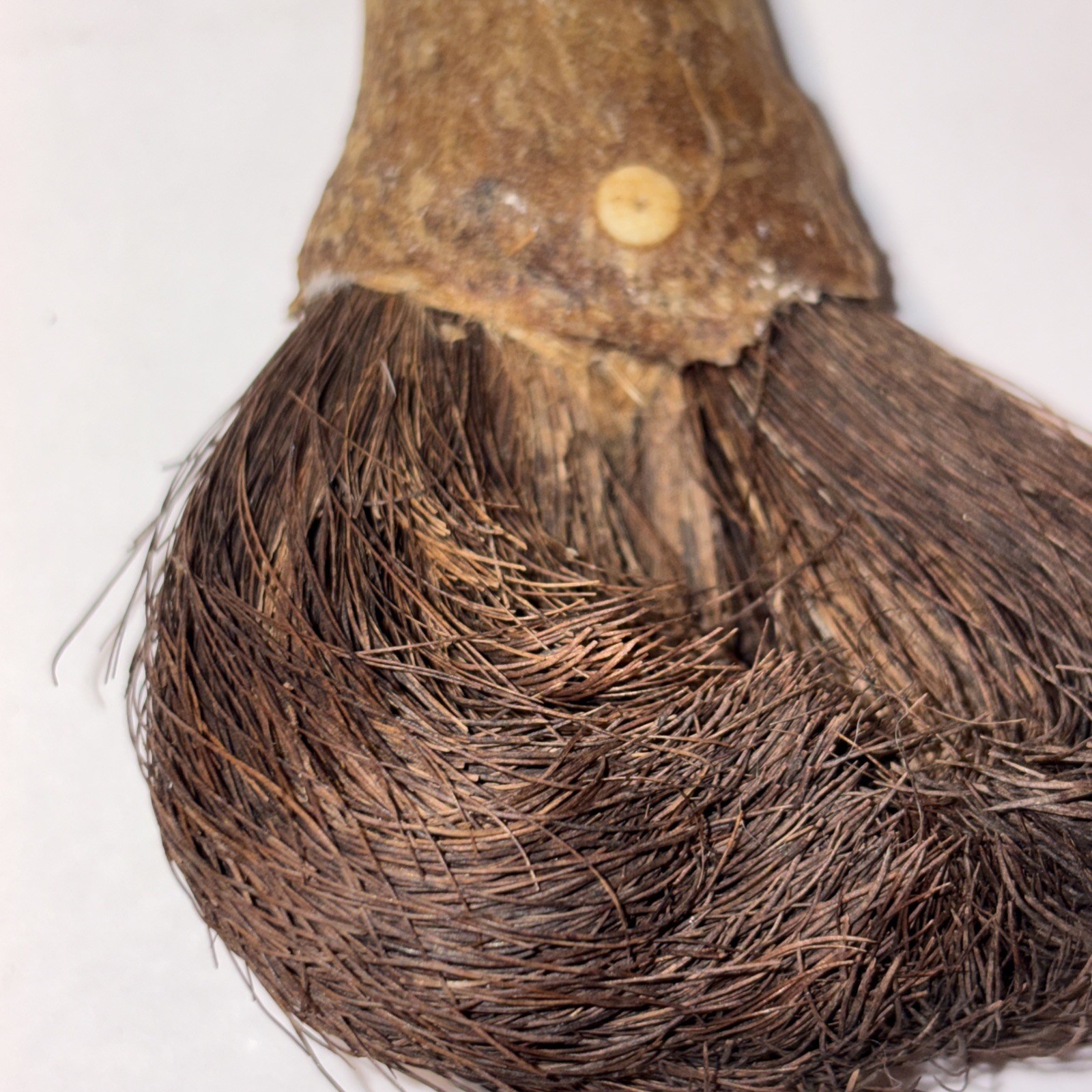 CHUKCHANSI OR MIWOK NATIVE AMERICAN SOAPROOT BRUSH 4”