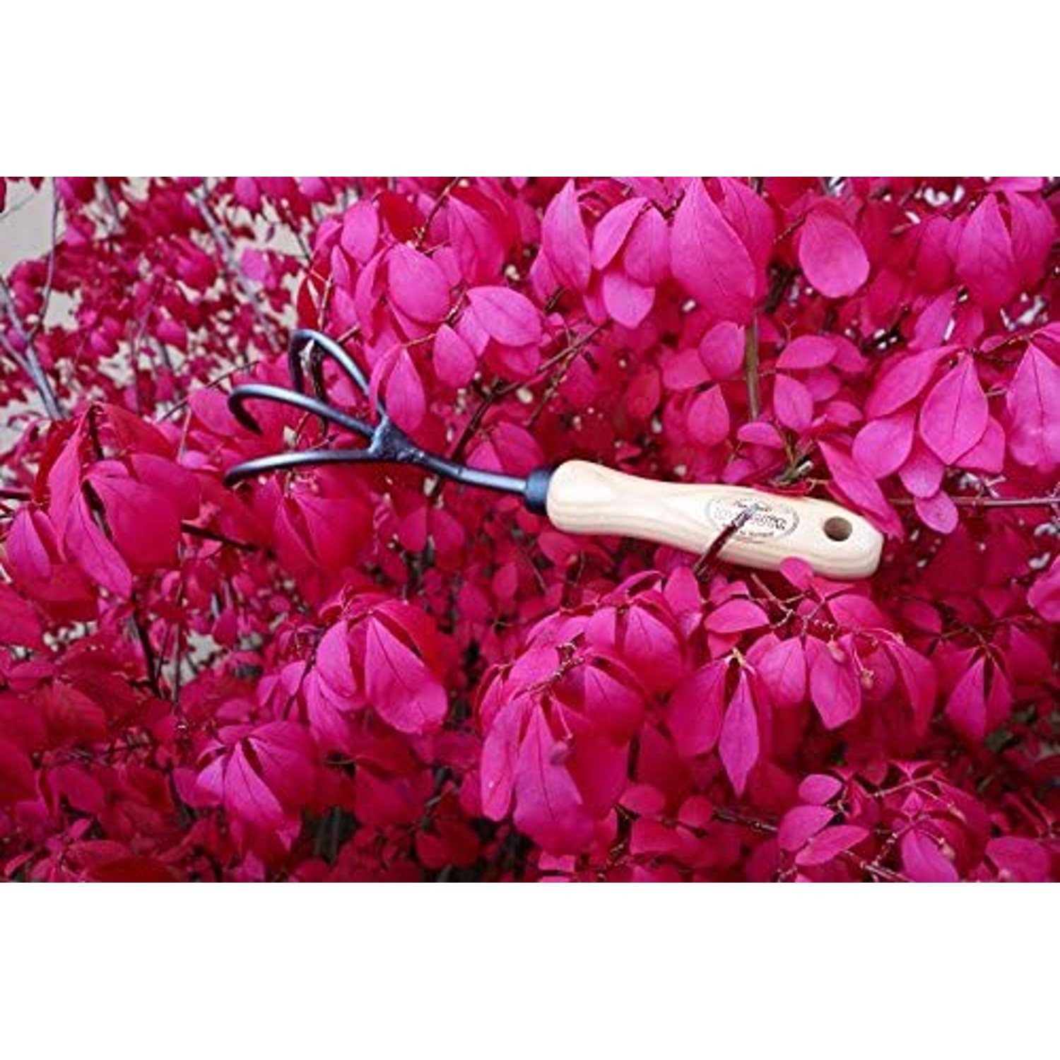 DeWit 3-Tine Cultivator, Boron Steel and Ash Wood Handle, 11.5 inches long