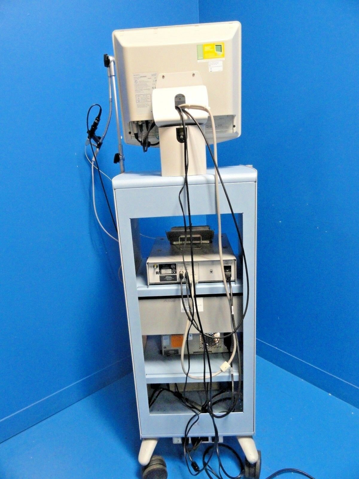 2011 Boston Scientific Spyglass Direct Visualization ~15313