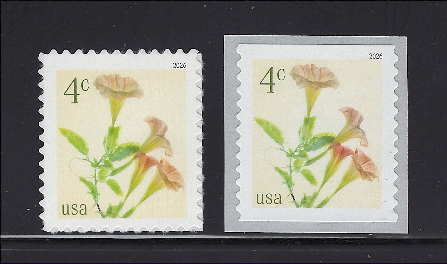 US Scott # 6044-6045 Angel's Trumpets Flowers MNH Pane & Coil Singles