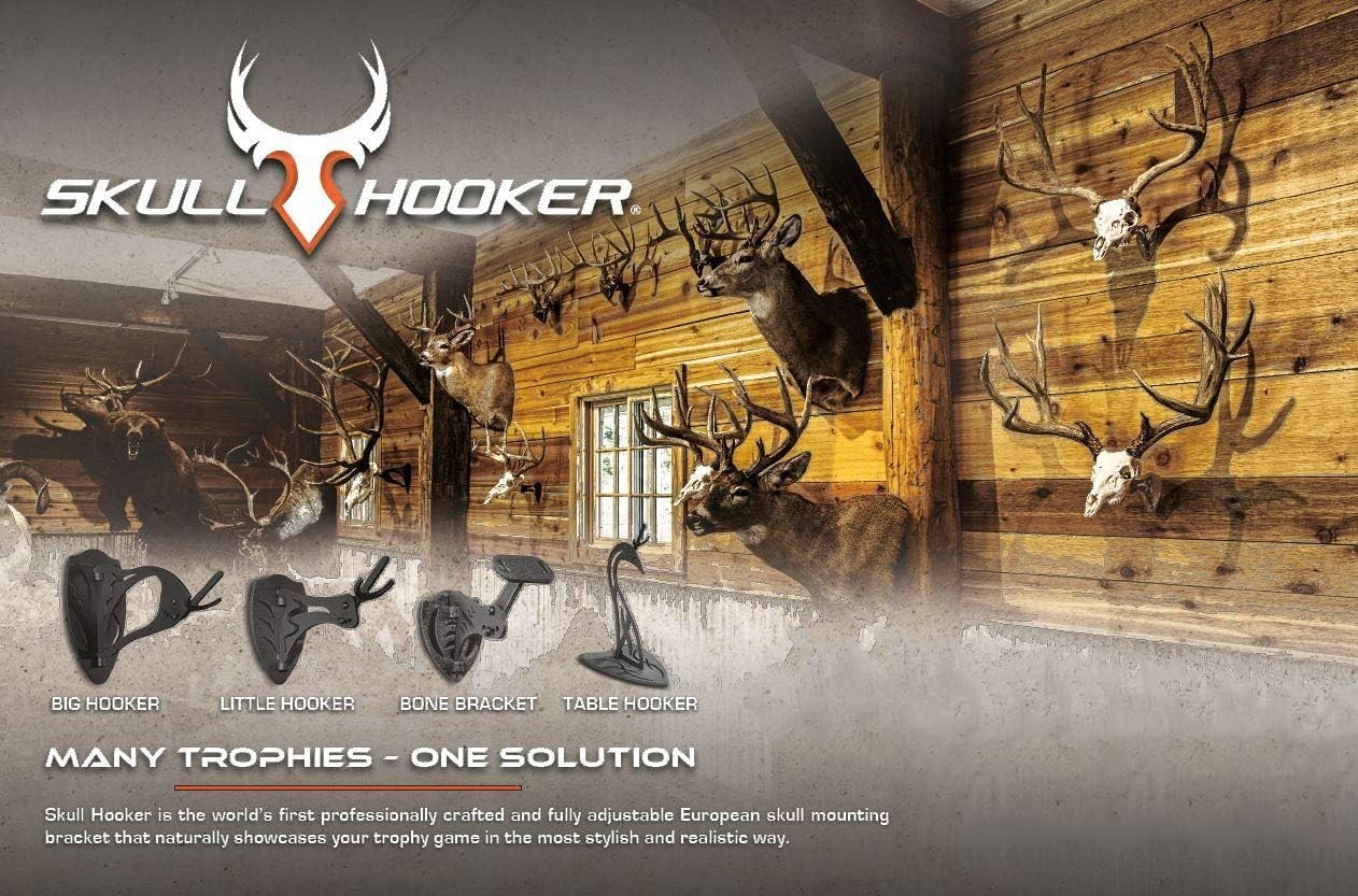 Skull Hooker Little Hooker Trophy Mount-Perfect Kit for Hanging &Mounting Skulls