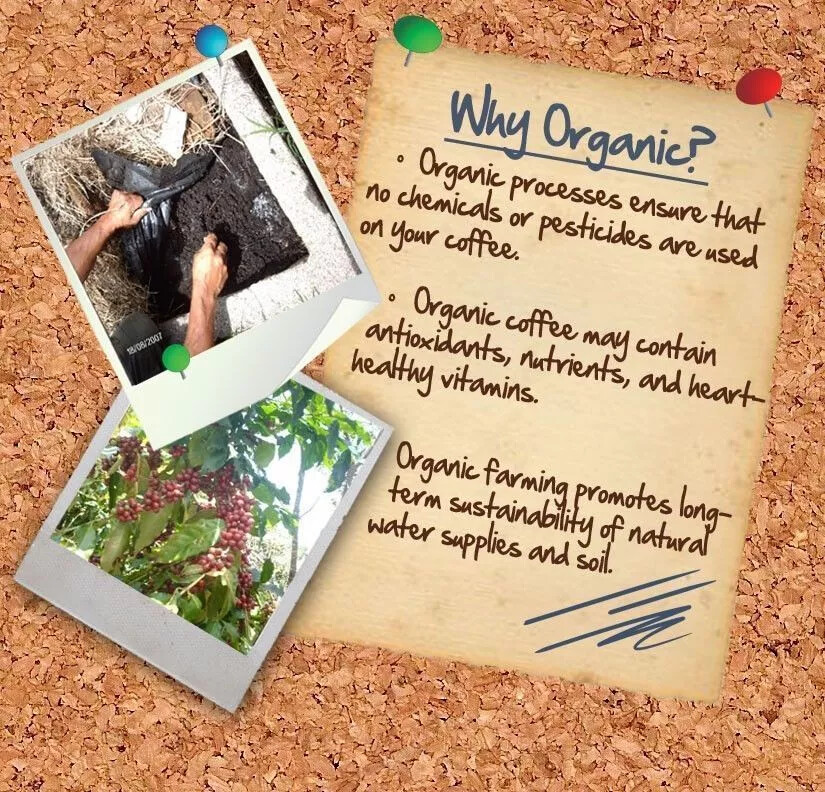 ETHIOPIAN YIRGACHEFFE COFFEE BEANS MEDIUM ROASTED 5 POUNDS