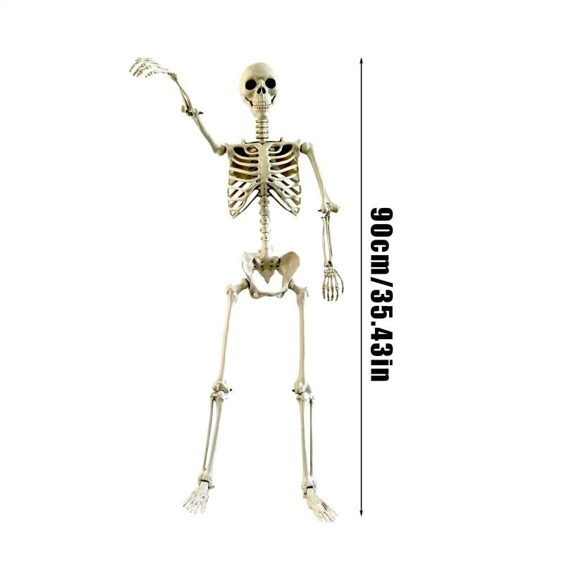 Halloween Realistic Body Bones Life Size Human Skeleton with Posable Joints