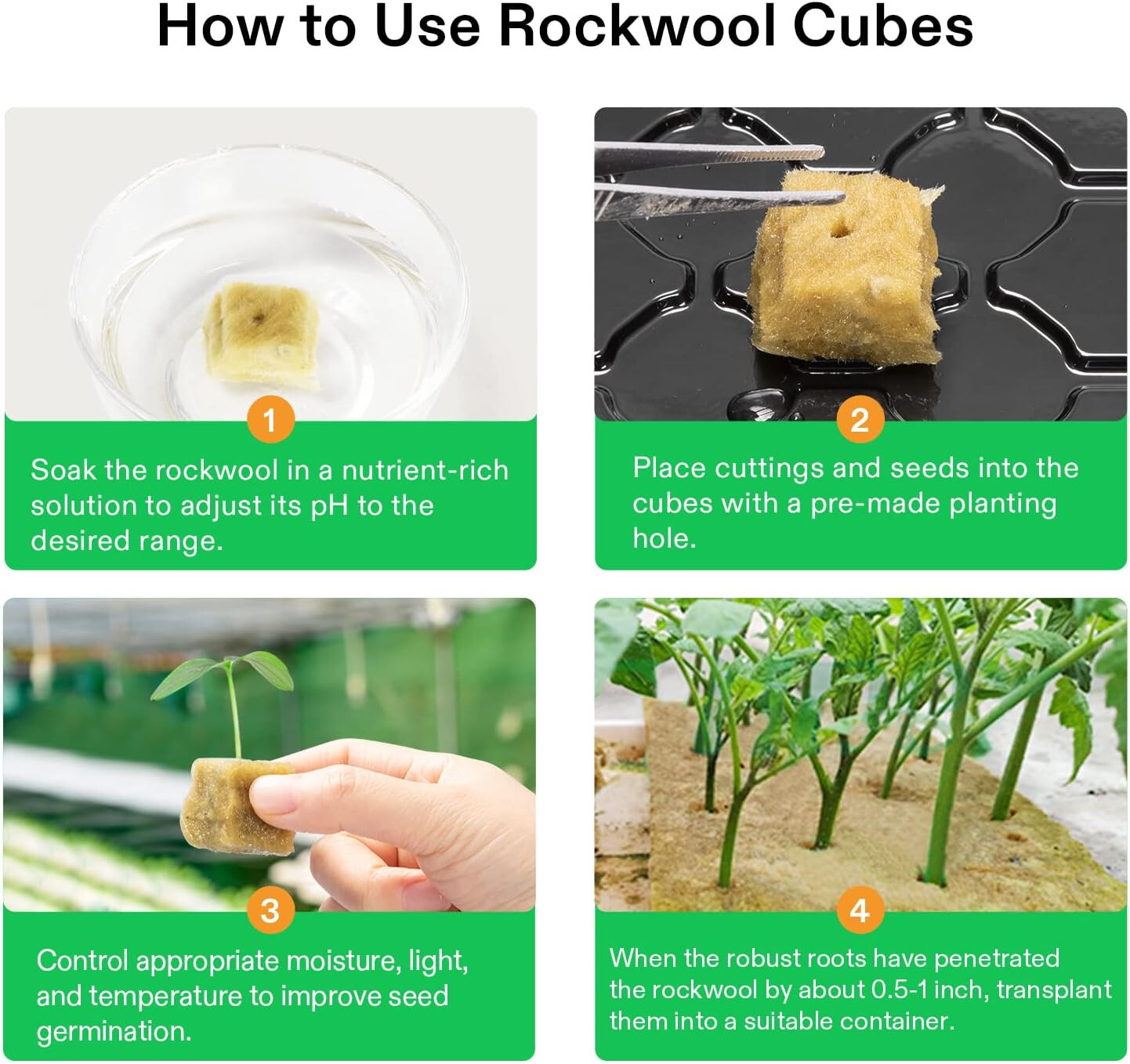 VIVOSUN 1" Rockwool Cubes,4 Sheets of 200 Plugs,for Rooting, Cuttings, Plants