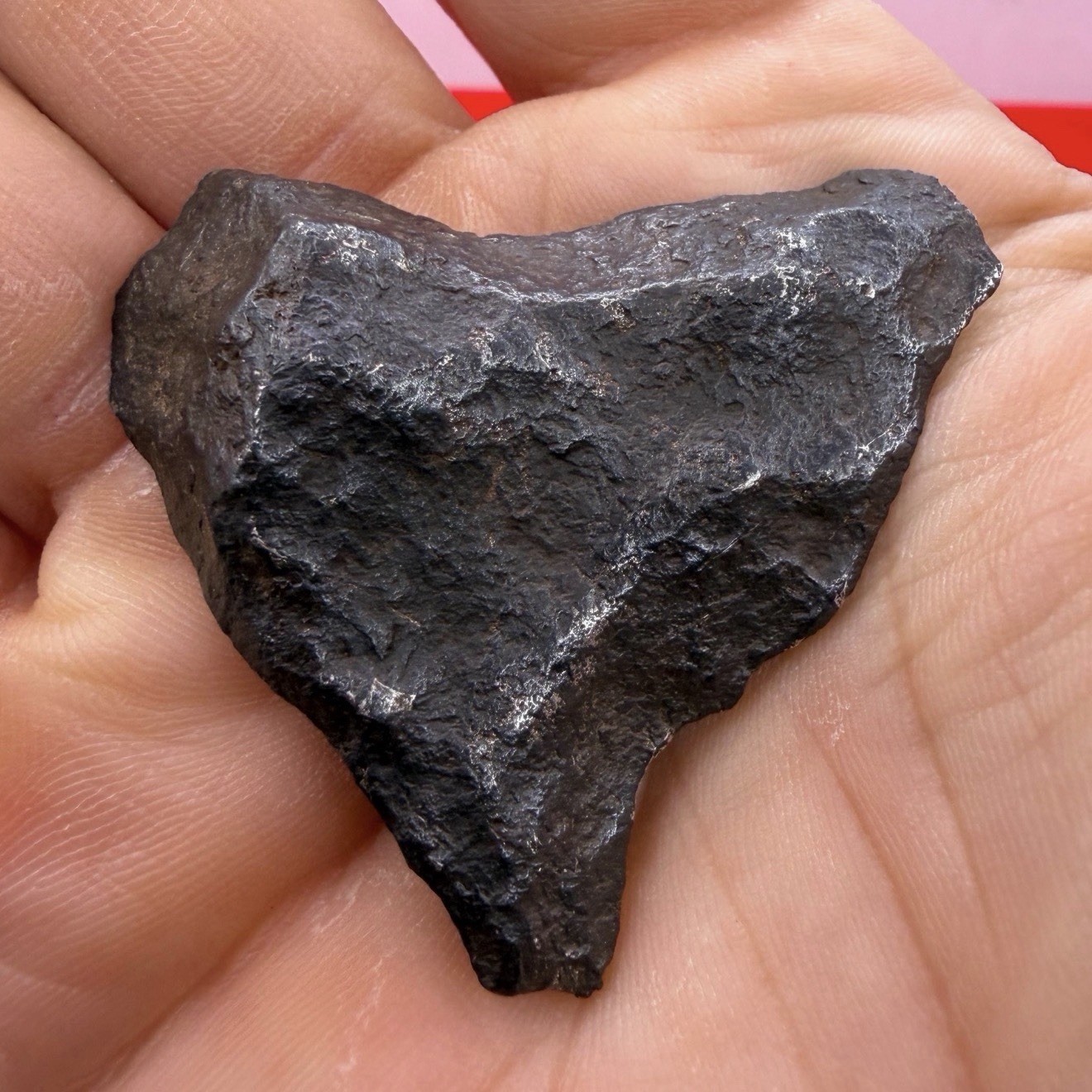 Gibeon Meteorite, IVA Iron Meteorite, Namibia, Rare Meteorite, 37.64g