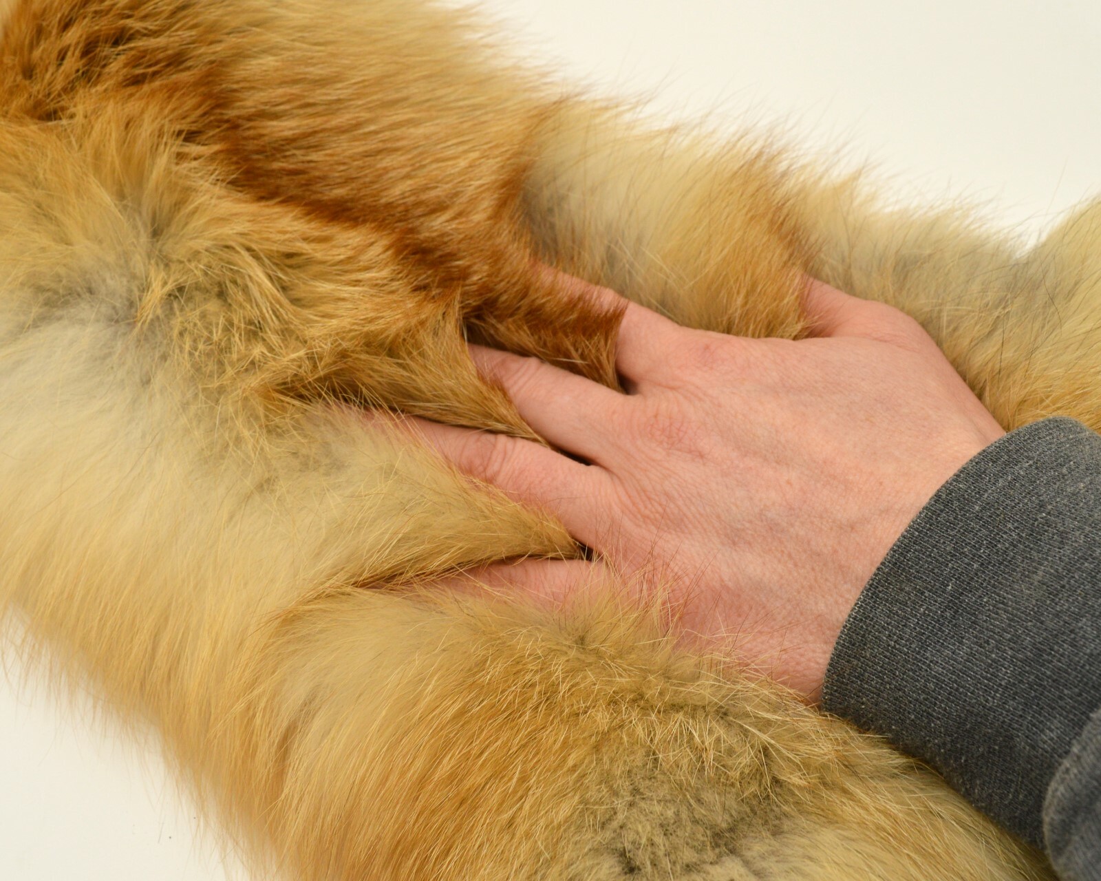 Tanned Red Fox Winter “Heavy Fur” Western XL Pelt, Hide, Medium Grade (rfwhmg)