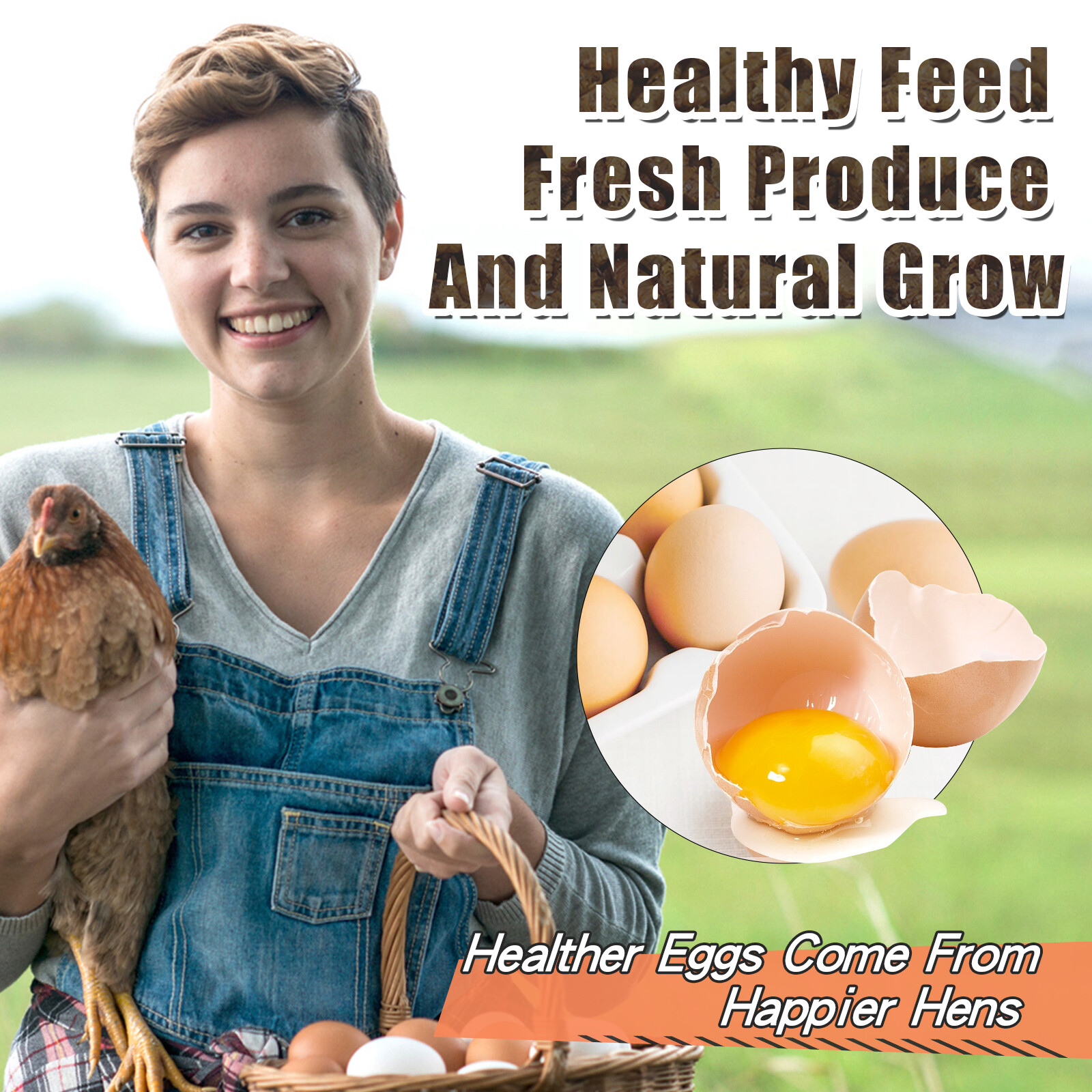 5-44LB Dried Black Soldier Fly Larvae Mealworms for Chicken Birds Treats Premium