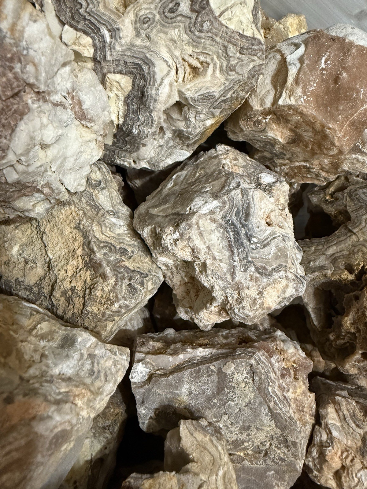 Crazy Lace Agate Rough, Lace Agate 5 lbs lot, Raw Summerville Lace Agates