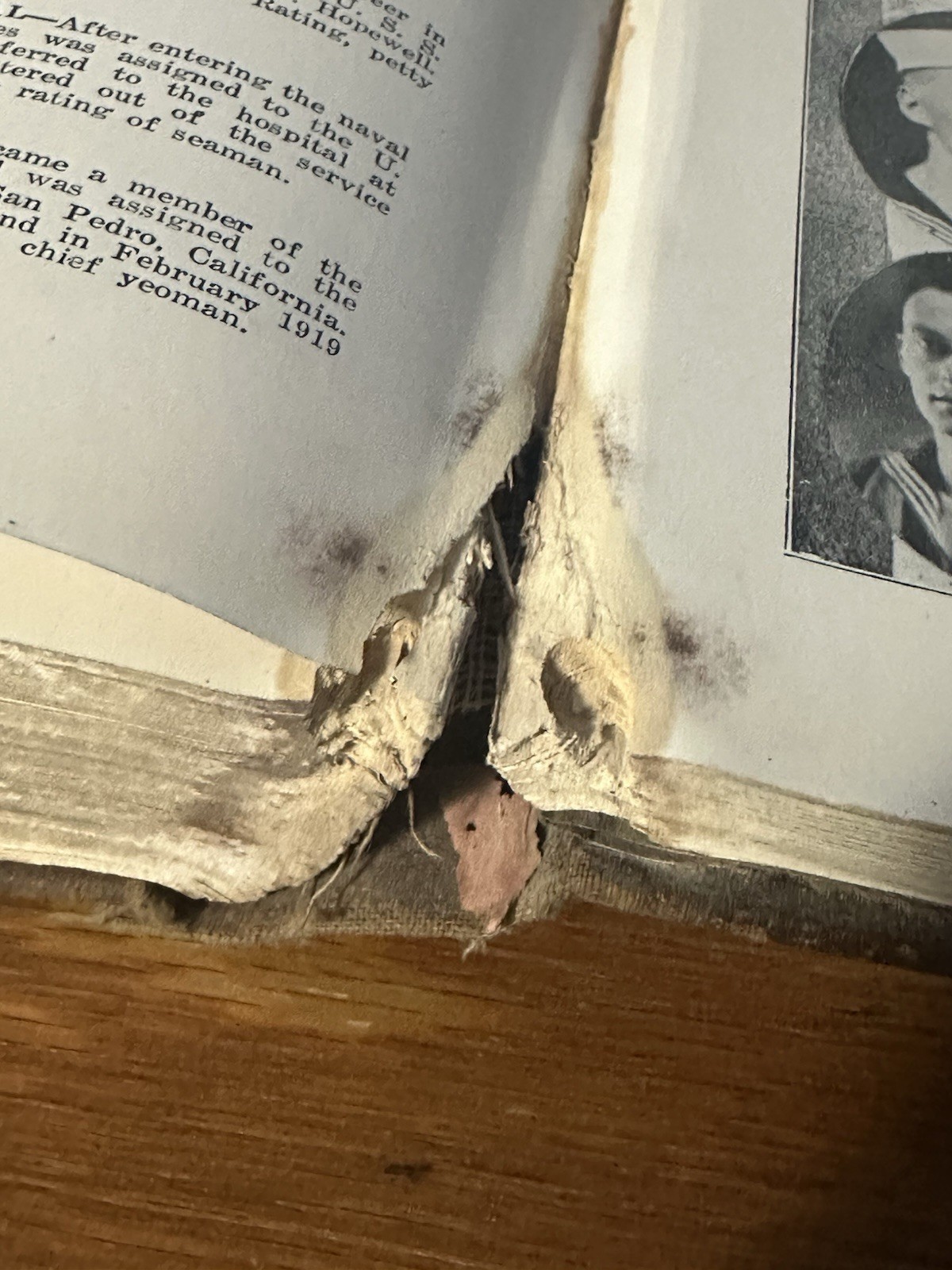 Antique 1919 Knox County In The World War WWI Era (Tennessee) (Shelf 1A1) Book