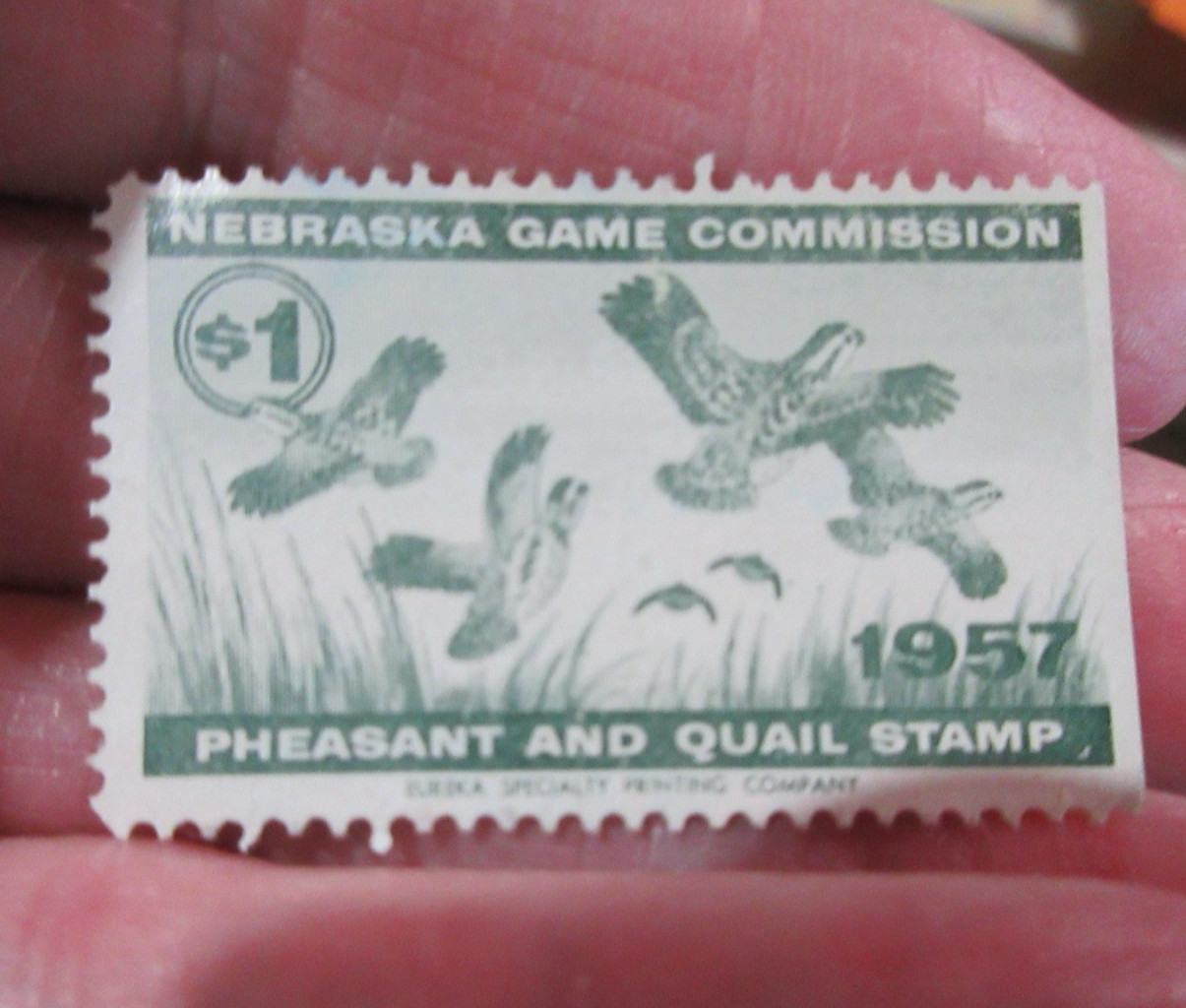 1957 Nebraska Pheasant and Quail Stamp Neb Game Commission  (w19)