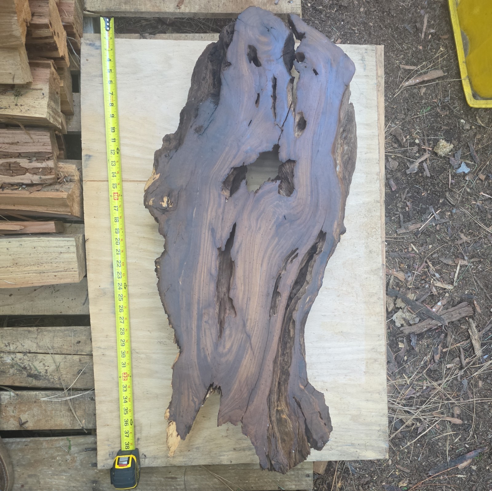 Desert Ironwood Live Edge Slab Epoxy Resin River Table Woodworking Art Mill Log