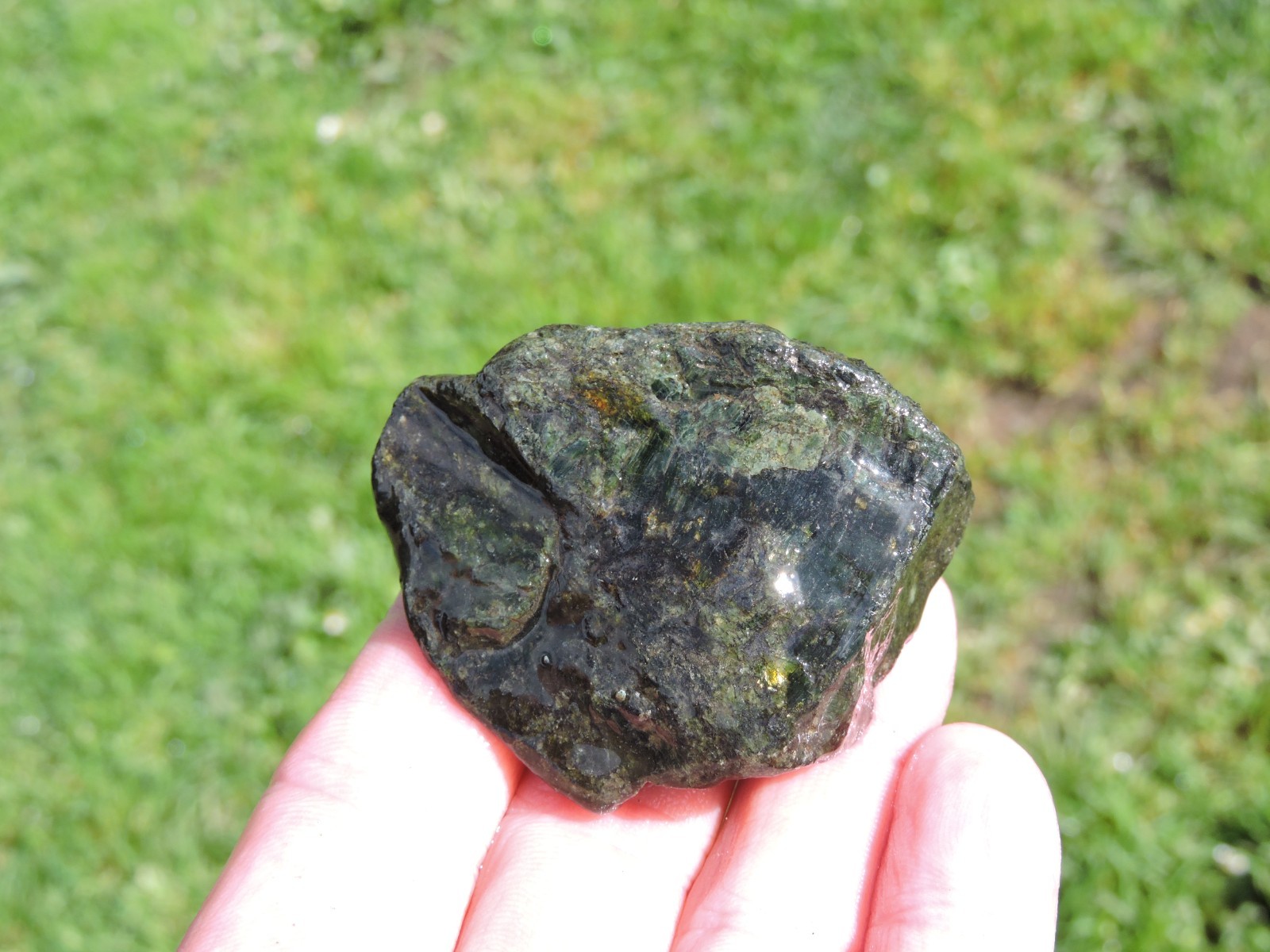 OREGON DARK GREEN SERPENTINE Rough Stones. *MAGNETIC* 100% Natural (8 lb)