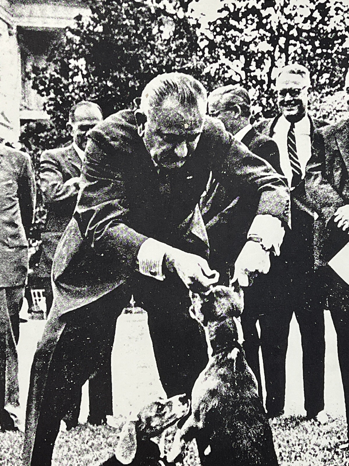 Vintage LBJ Dog Ears Anti-War Vietnam Protest Political Poster