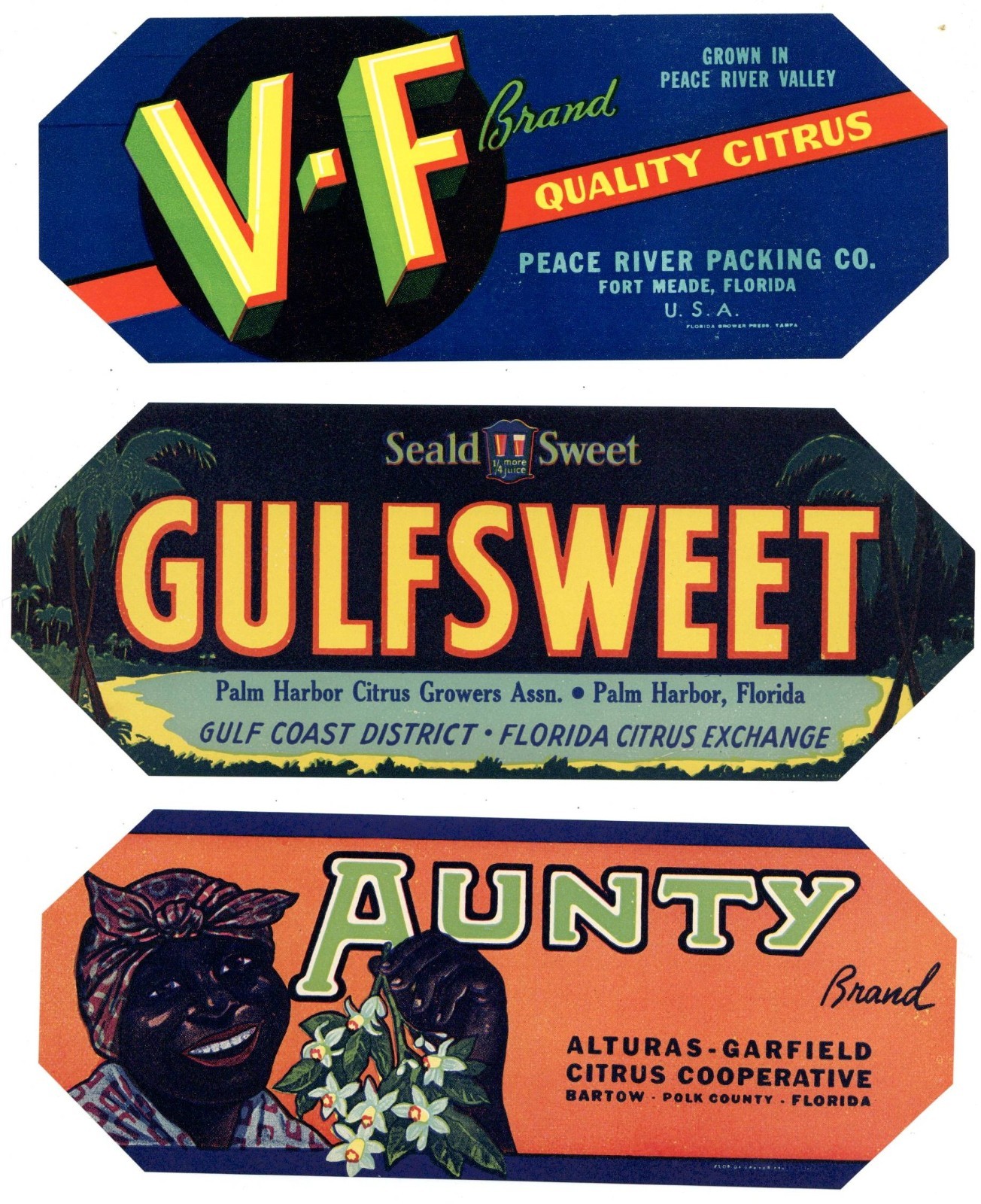 Collection of 25 Different Florida Citrus Labels **ORIGINAL FRUIT CRATE LABELS**