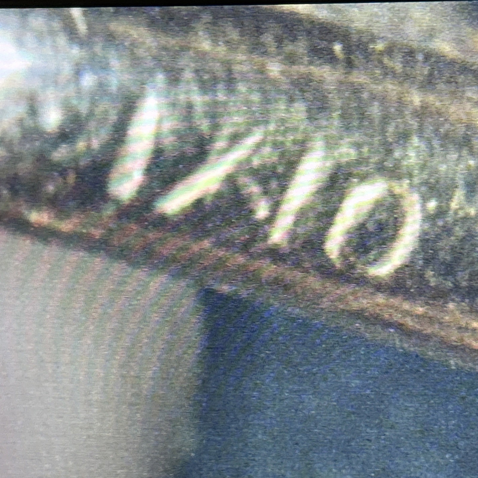 Vintage CHARNIER 1/10 Watch Chain Rose GF Abalone Carnelian Spinner GF Fob 11”