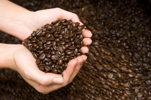 100% HAWAIIAN / KONA COFFEE BEANS MEDIUM ROASTED 2 / 12 POUNDS