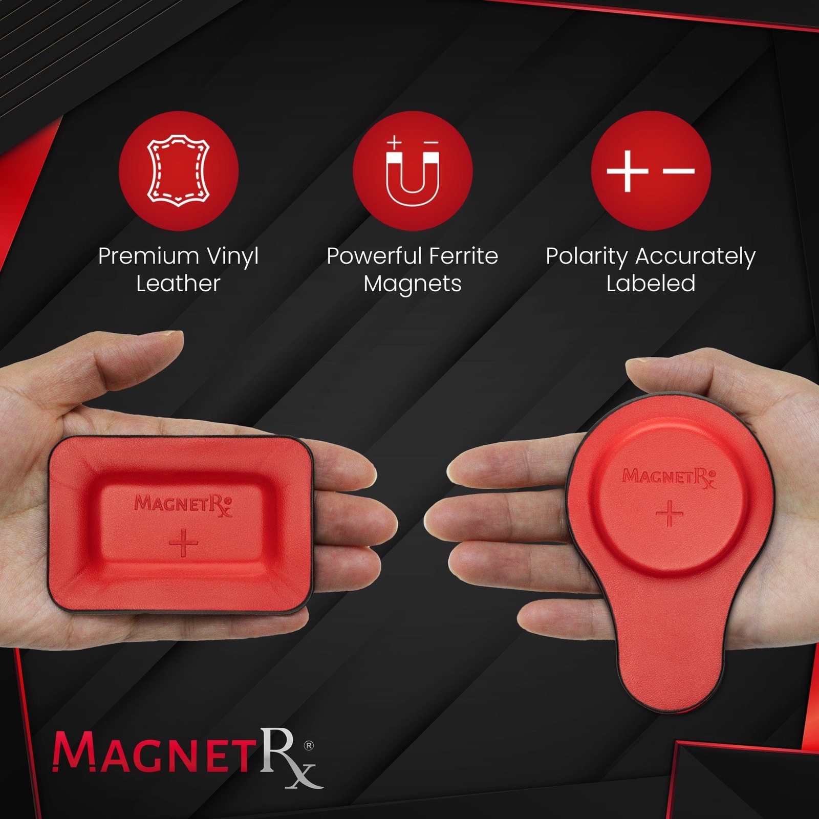 MagnetRX Biomagnetic Therapy Magnets Kit (12 Mixed Units)