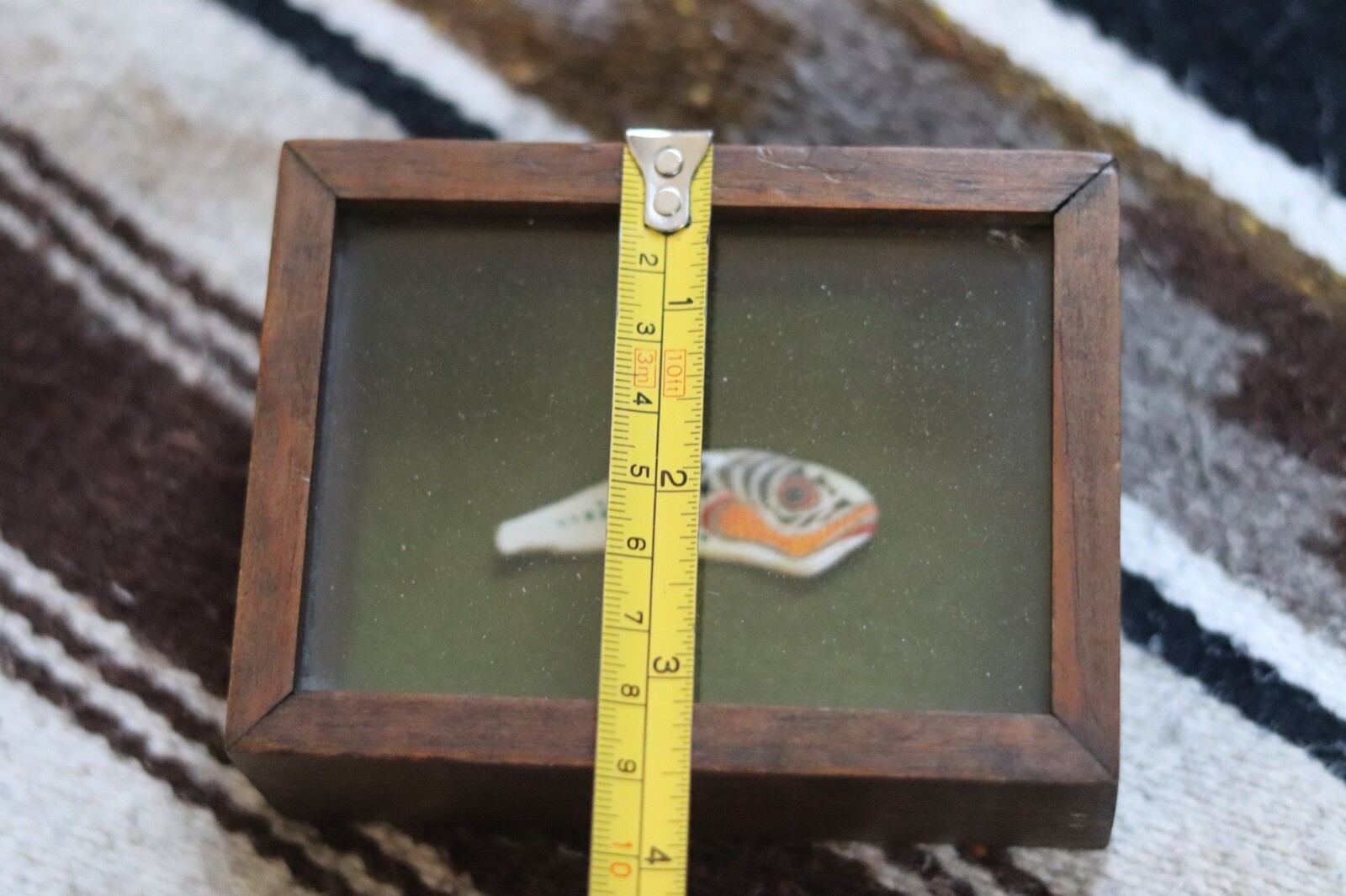 OLD NORTHWEST COAST painted shell art killer whale fetish Tlingit First Nations