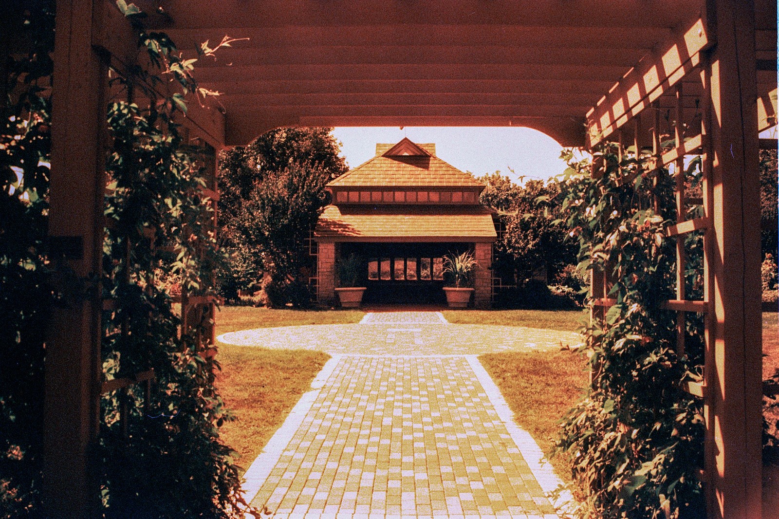 THE MARS PROJECT - BRAND NEW 35mm Color Negative Film 80 ISO - Experimental Fun