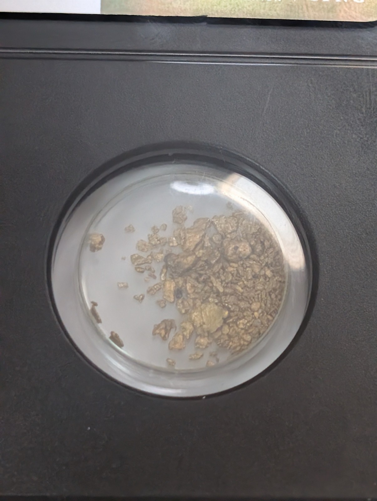 VaultBox SS Central America Gold Dust .880 Fine Gold 1.20g Encapsulated NGC