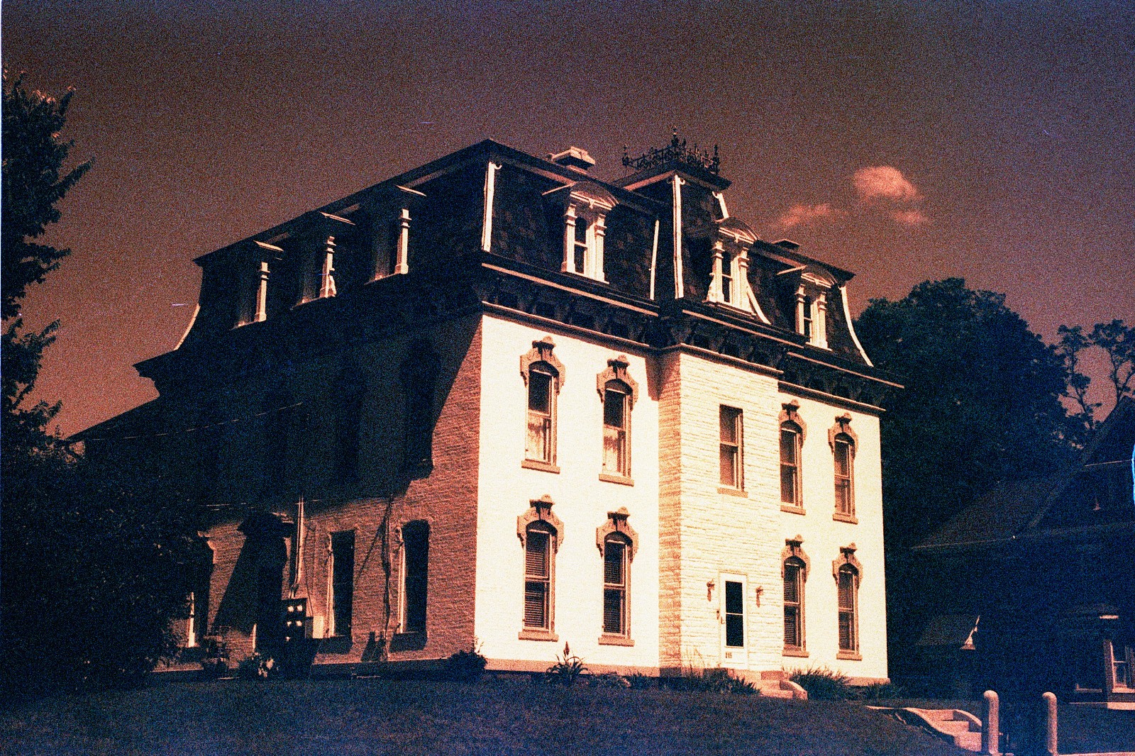 THE MARS PROJECT - BRAND NEW 35mm Color Negative Film 80 ISO - Experimental Fun