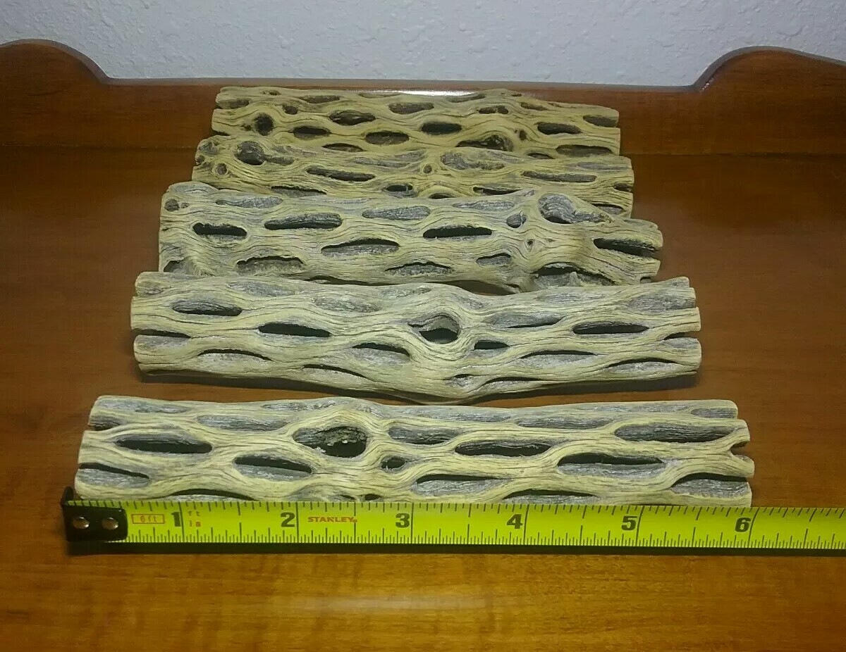 5 LARGE 6" inch CHOLLA Wood Cactus pieces | PRE-CLEANED | AQUARIUM | Air Plants