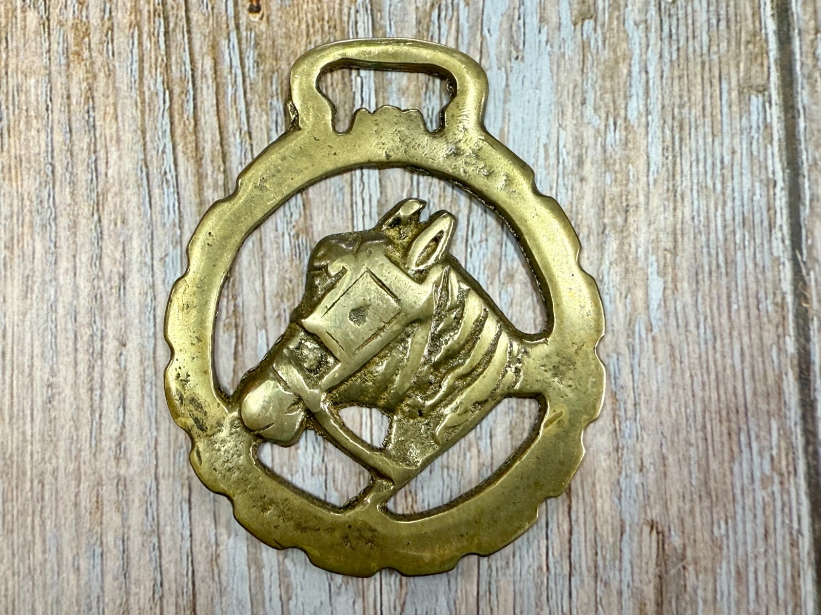 Horse Head with Blinkers Openwork Bridle Harness Saddle Medallion