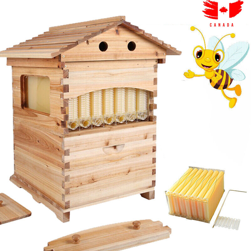 Wooden Auto Seep Bee Hives Boxes Langstroth Bee Hive+BPA free Beekeeping Frames