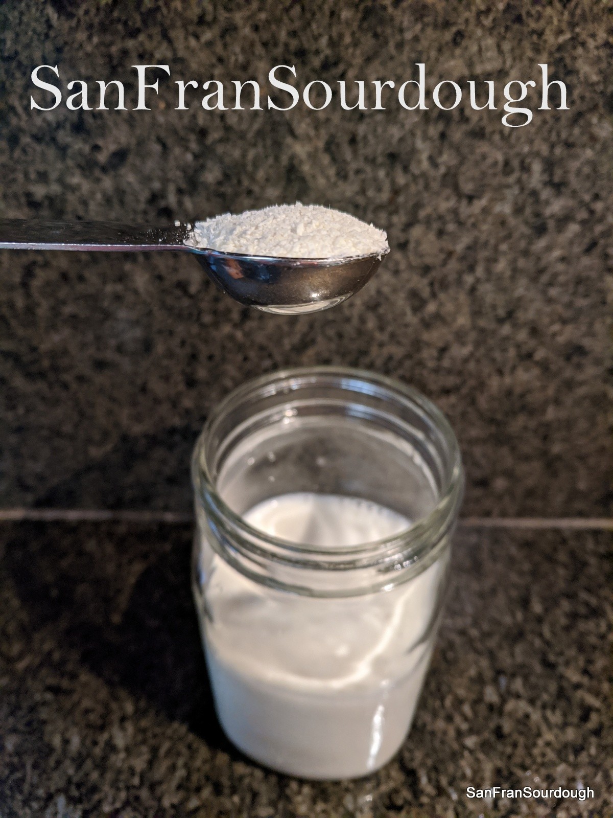 Viili Culture Yogurt Starter Mesophilic room temperature dried starter