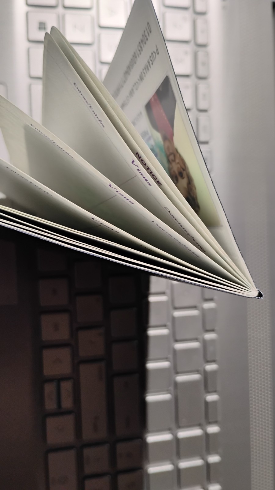 VINTAGE PASSPORT USA 1987 INK STAMPS