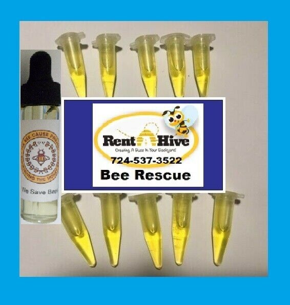 SWARM PRO Lure 10 pack honeybee scent beehive hive bait box trap beekeeper USA.