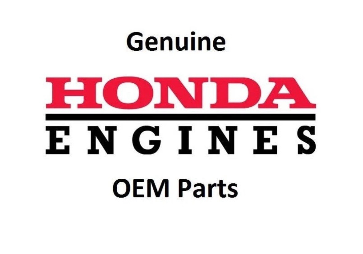 Honda GX120 2 -Pack valve spring 14751-ZF1–000 quarter midget GoKart