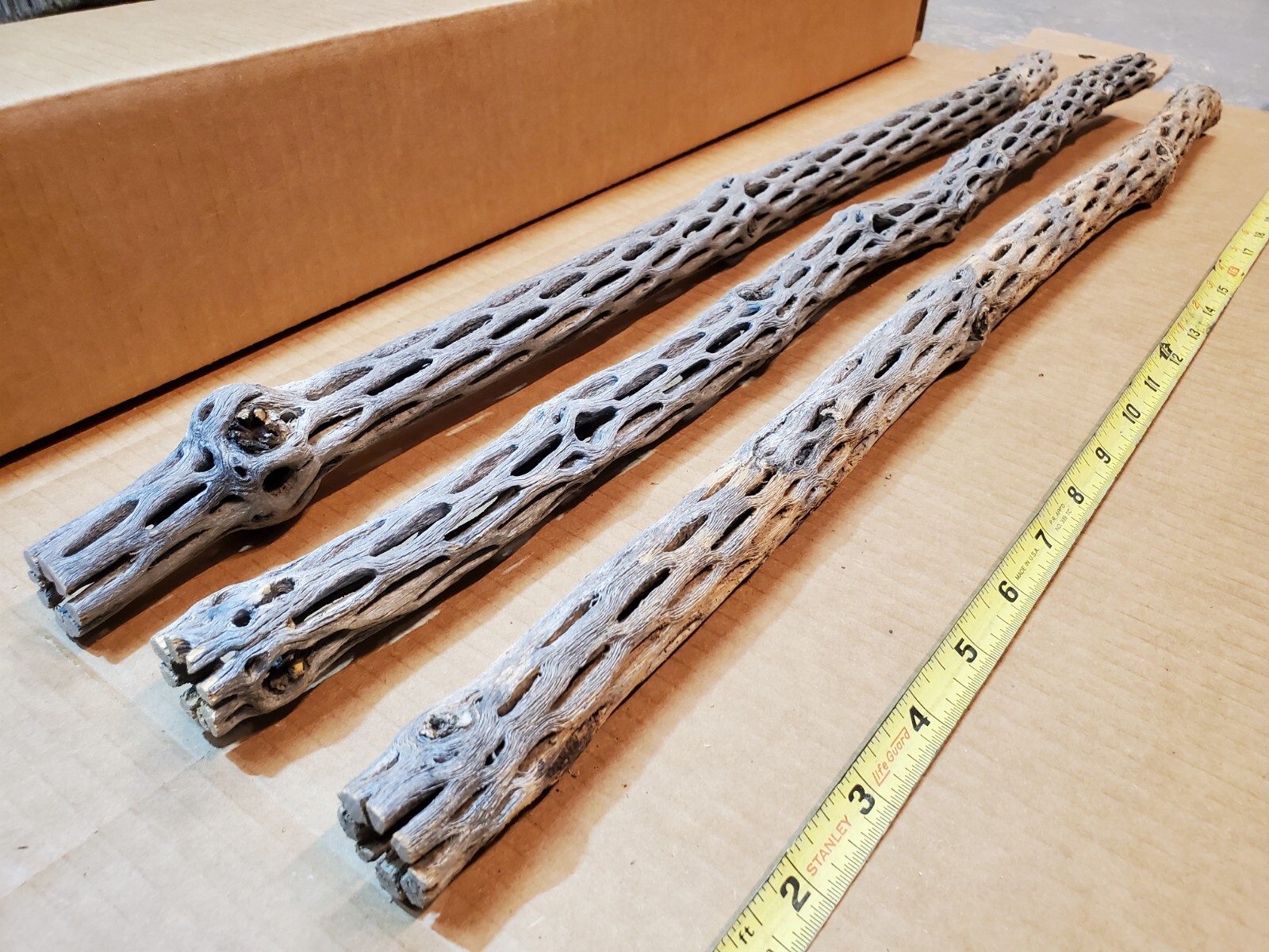 NEW! 3 CHOLLA Wood Pieces 24" inch EXTRA LONG Straight | Organic Aquarium Craft