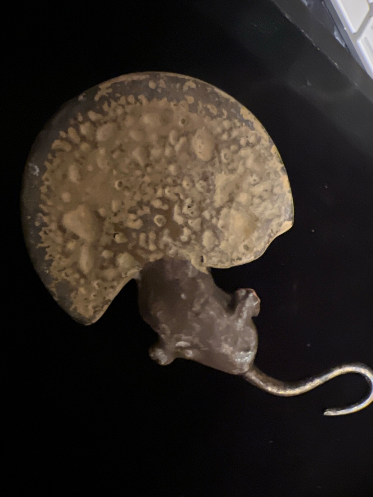 ANTIQUE CUTE COLD PAINTED VIENNA BRONZE MOUSE EATING BISCUIT.