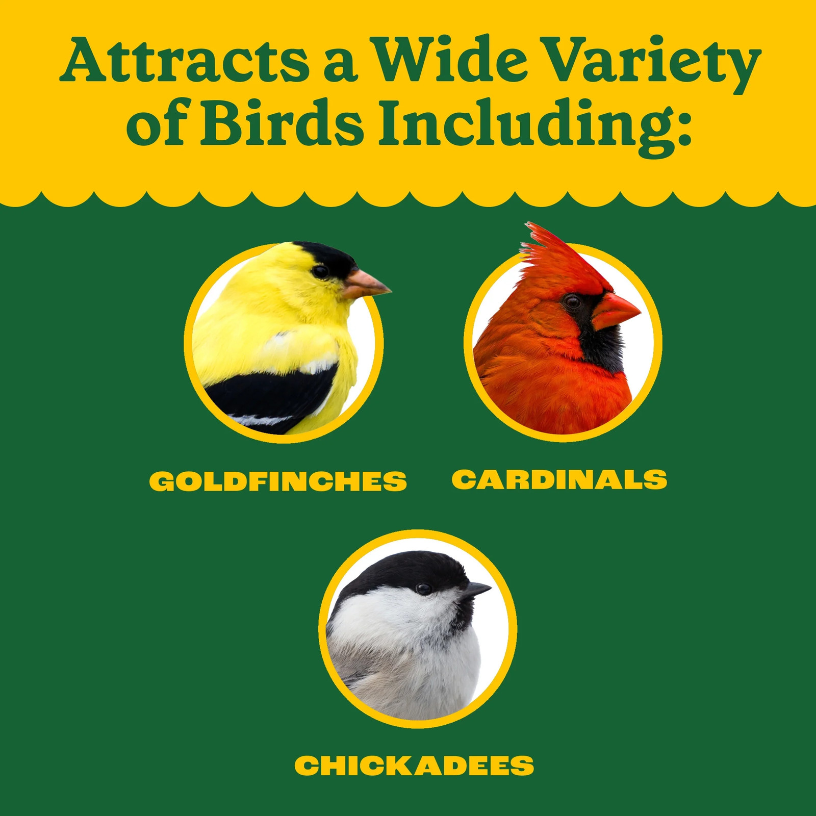 Classic Wild Bird Feed and Seed, 40 Lb. Bag, 1 Pack