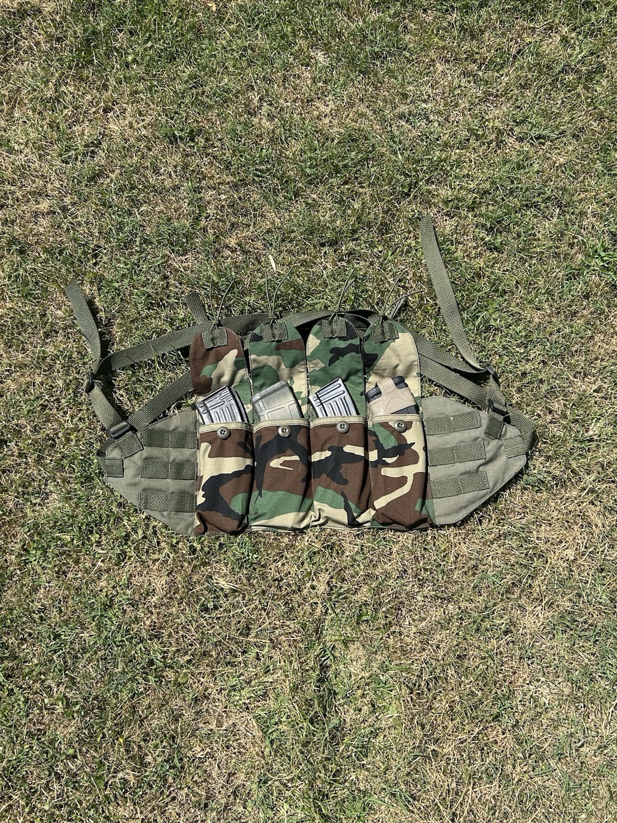 M81 Woodland Modernized Chicom Chestrig