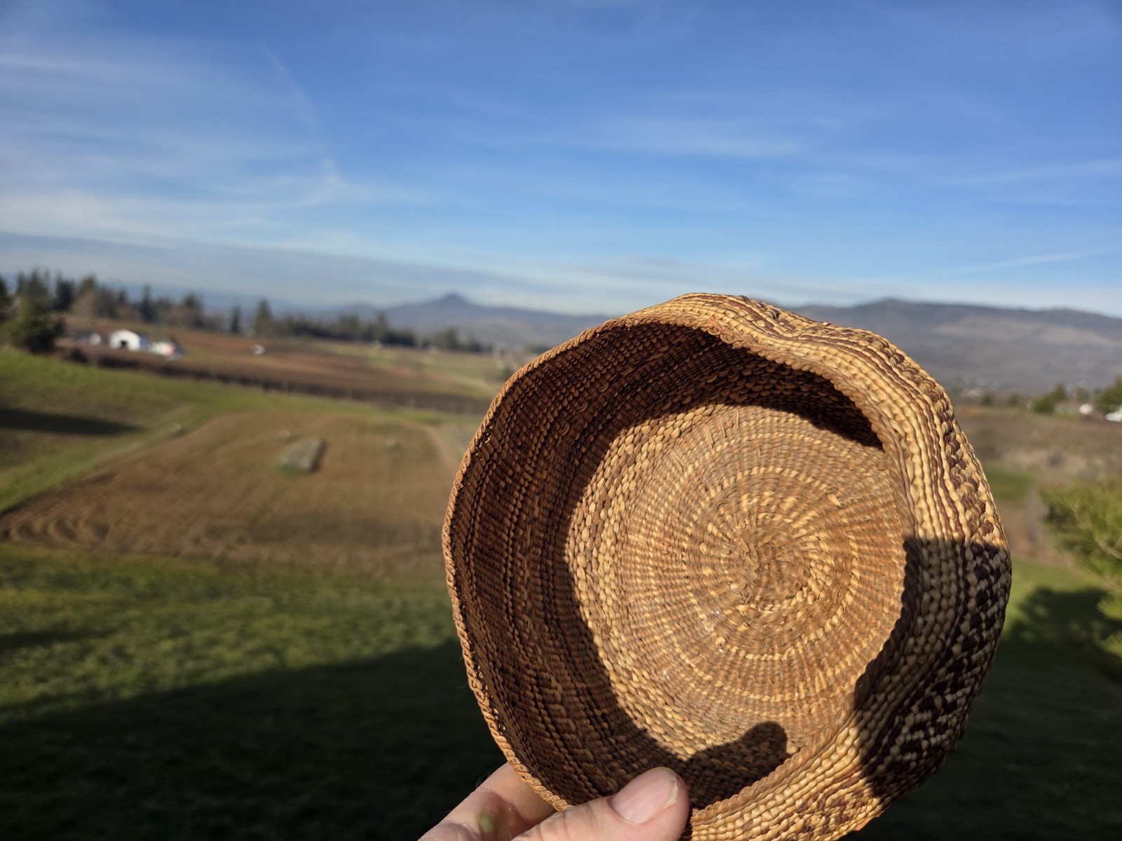 Northern California Basket