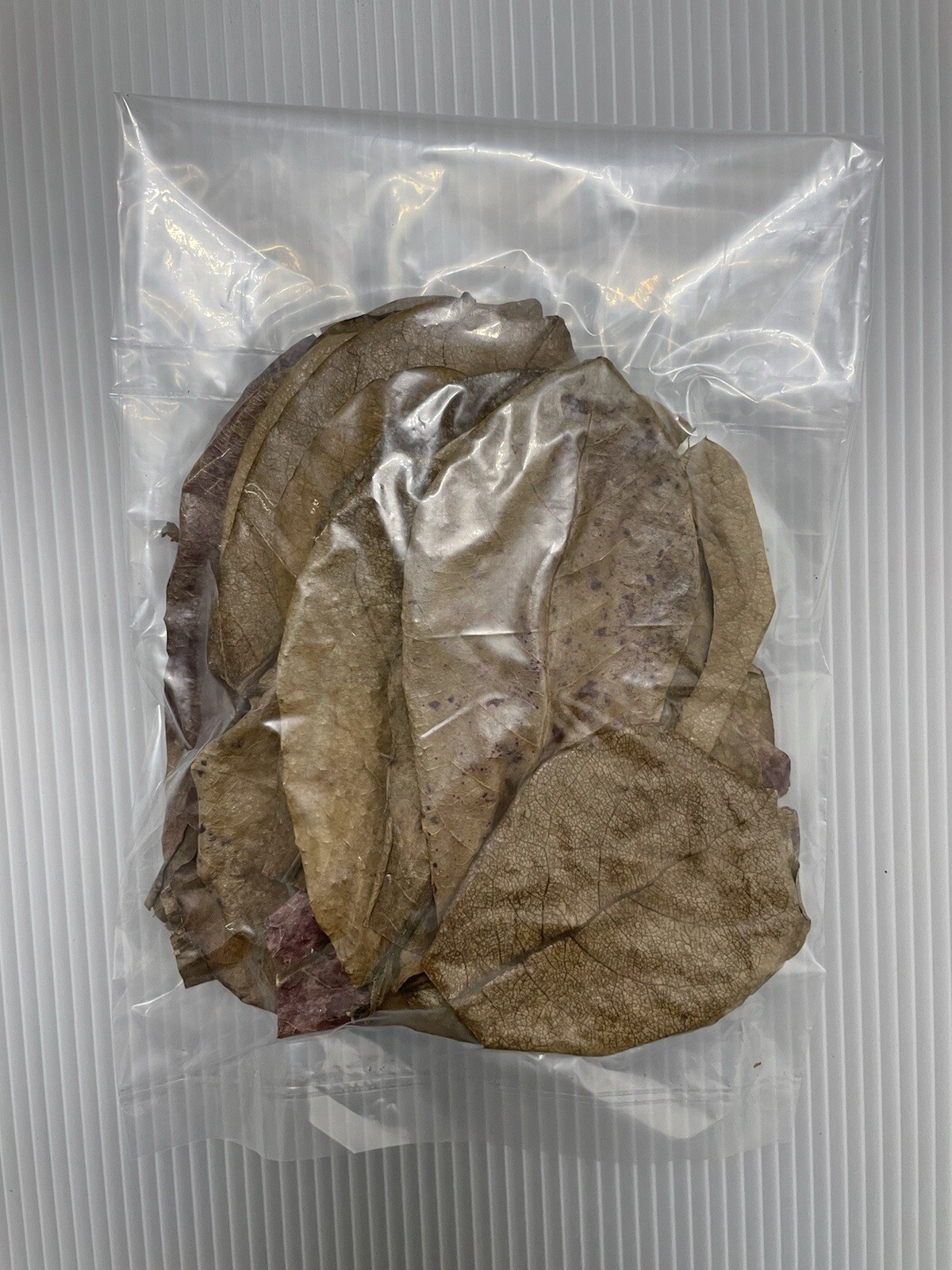 25 pcs Small Indian Catappa Almond Leaves IAL For Betta, Shrimps, Reptiles